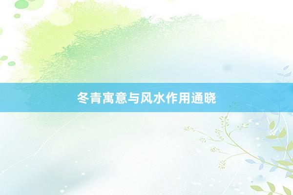 冬青寓意与风水作用通晓