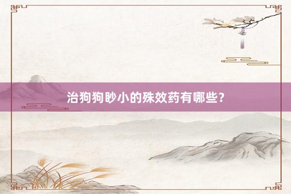治狗狗眇小的殊效药有哪些？