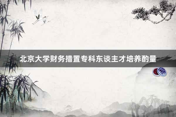 北京大学财务措置专科东谈主才培养酌量