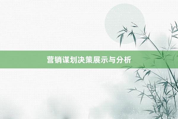营销谋划决策展示与分析